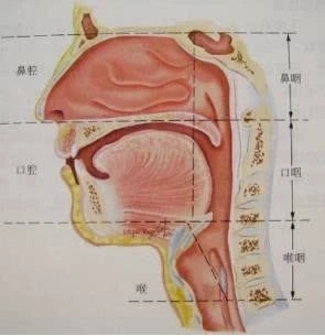 核酸检测的标本采集拭子关键点是什么？