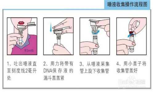 唾液采集器中的病毒RNA是怎么提取核酸的？